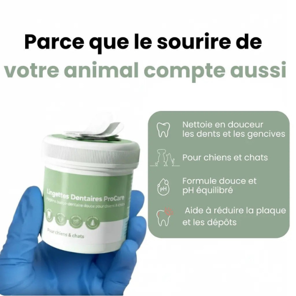 Lingettes dentaires pour chiens et chats