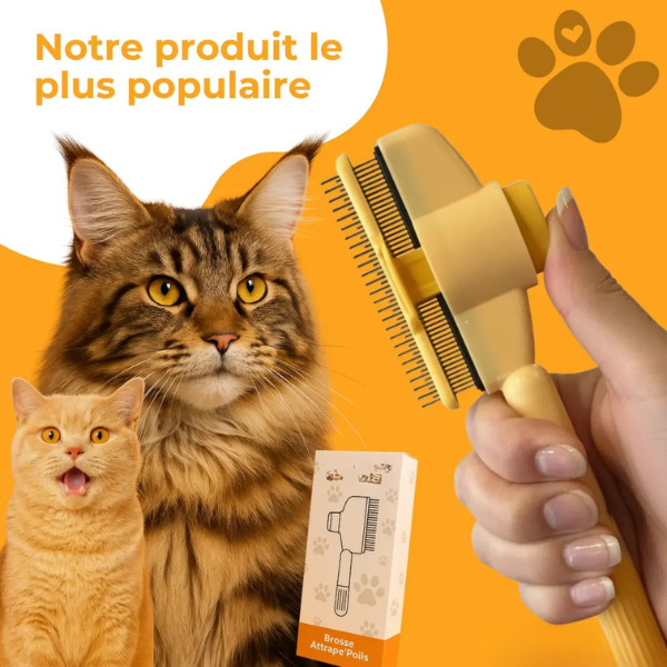 Brosse Attrape Poils