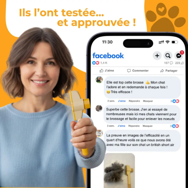 Brosse Attrape Poils
