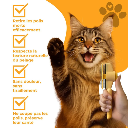 Brosse Attrape Poils