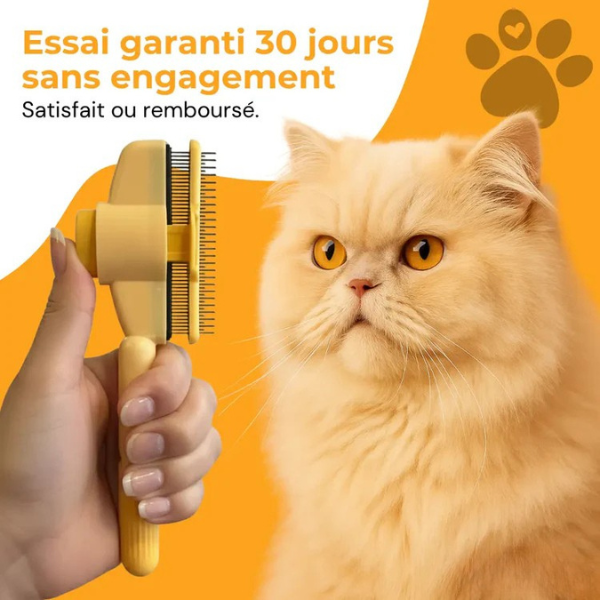 Brosse Attrape Poils