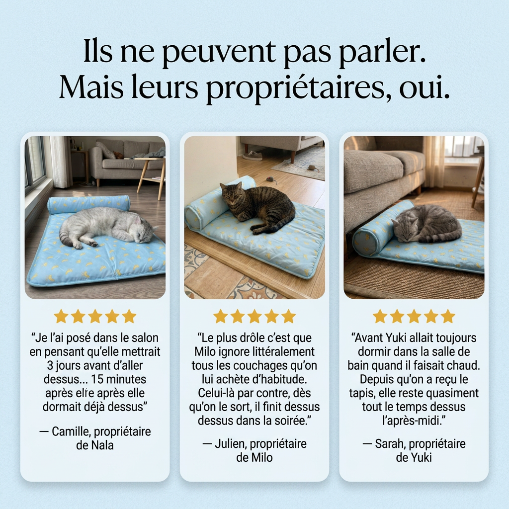Tapis rafraîchissant pour chats et chiens