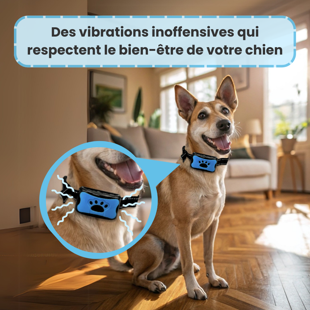 Collier anti-aboiement