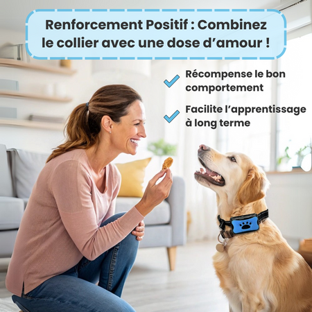 Collier anti-aboiement
