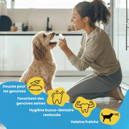 Lingettes dentaires pour chiens et chats